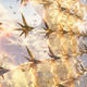 Image for article titled The MCU Films That You Should Own In 4K, Ranked